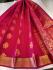 PL BIG BUTTA SAREE